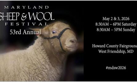 Maryland Sheep and Wool Festival 2026 in West Friendship, MD Dates, Location, Events, and What to Expect