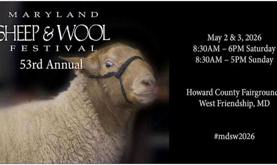 Maryland Sheep and Wool Festival 2026 in West Friendship, MD: Dates, Location, Events, and What to Expect