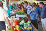Mountain Fresh Farmers Market 2026 in Oakland, MD Dates, Location, Vendors, and What to Expect