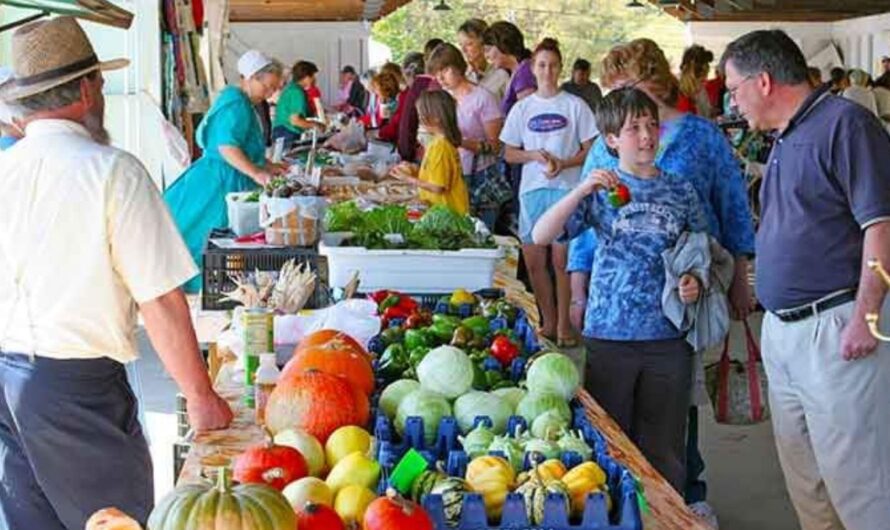Mountain Fresh Farmers Market 2026 in Oakland, MD: Dates, Location, Vendors, and What to Expect