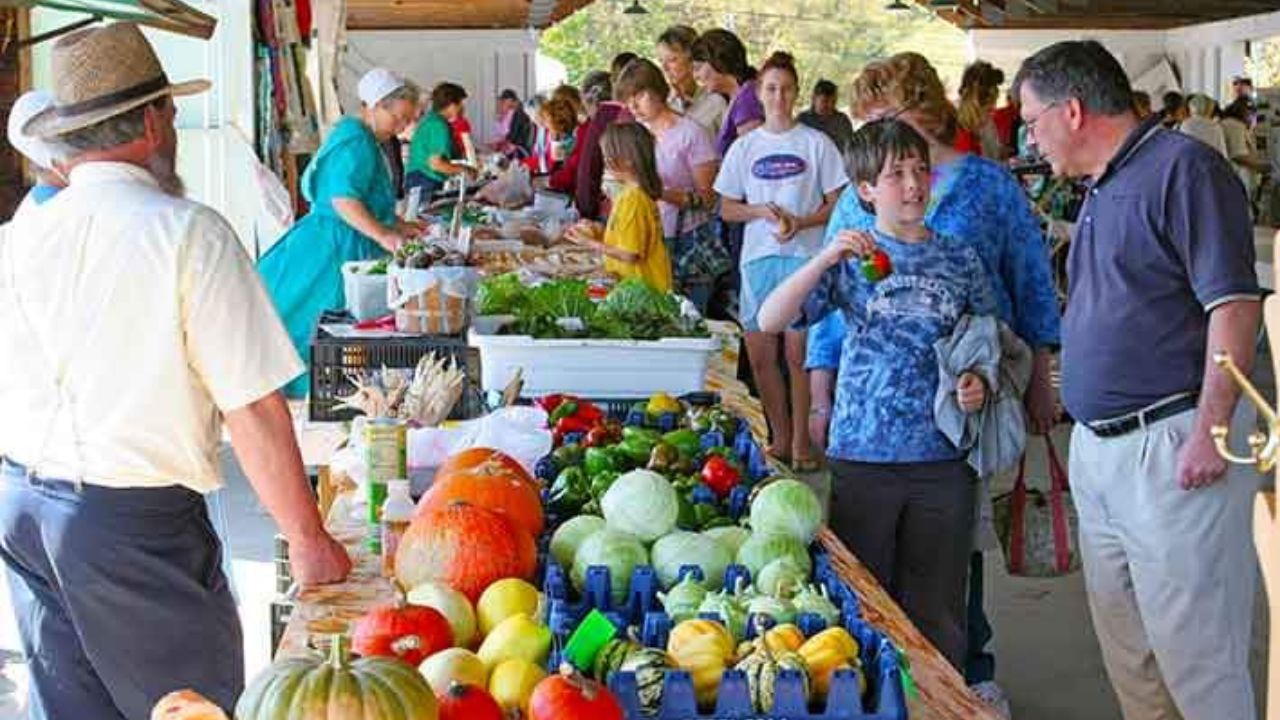 Mountain Fresh Farmers Market 2026 in Oakland, MD Dates, Location, Vendors, and What to Expect