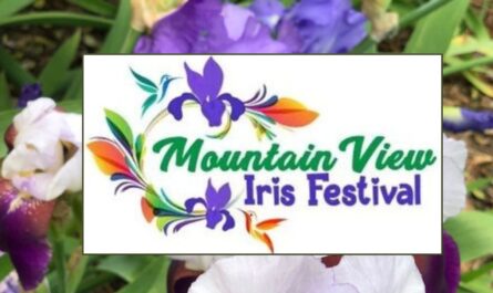 Mountain View Iris Festival 2026 in Blue Mountain Township, AR Dates, Location, Events, and What to Expect