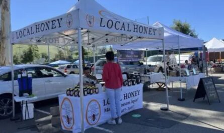 Ohlone College Flea Market 2026 in Fremont, CA Dates, Location, Vendors, and What to Expect