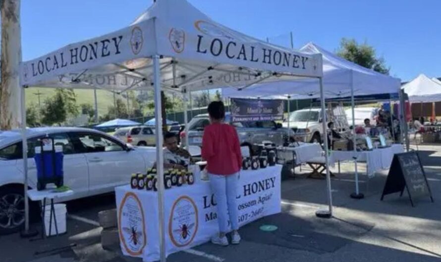 Ohlone College Flea Market 2026 in Fremont, CA: Dates, Location, Vendors, and What to Expect