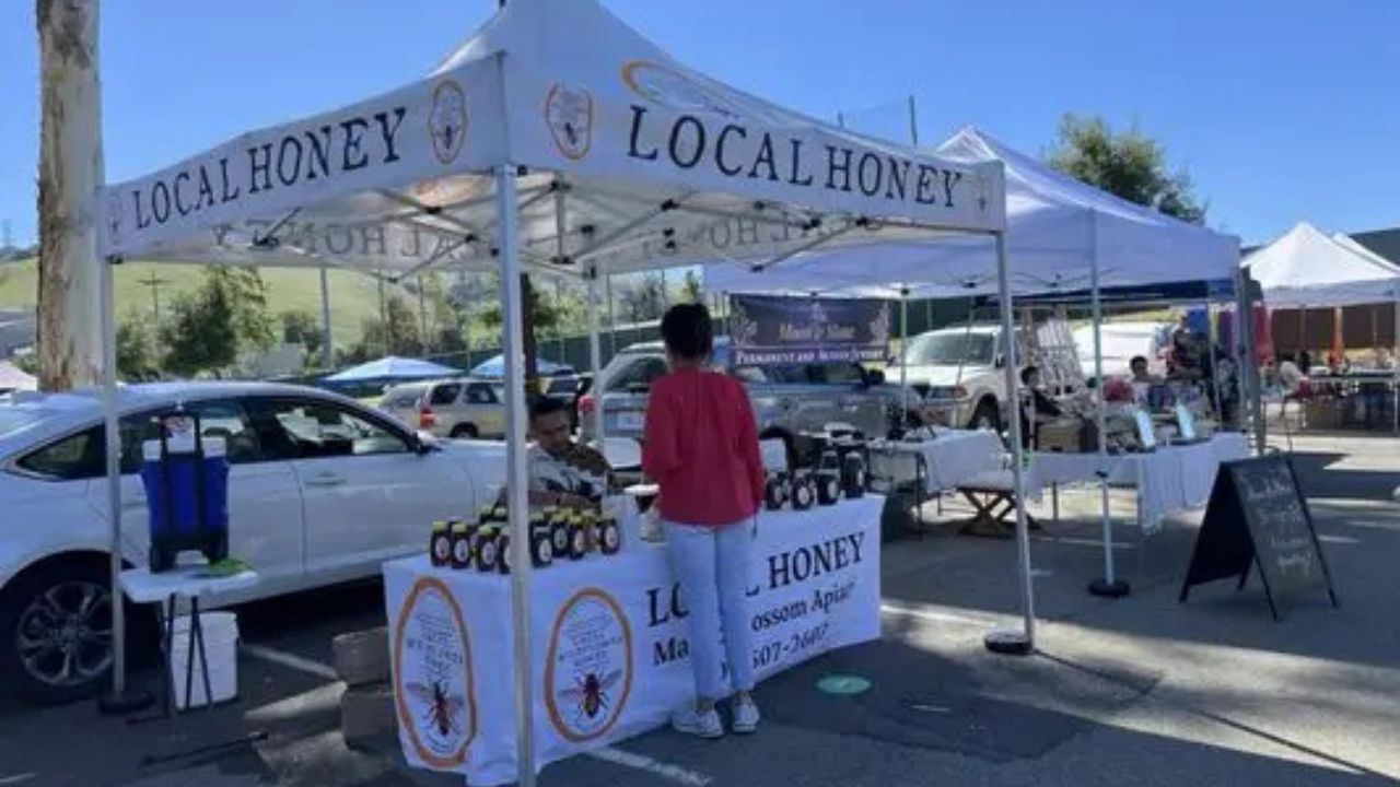 Ohlone College Flea Market 2026 in Fremont, CA Dates, Location, Vendors, and What to Expect