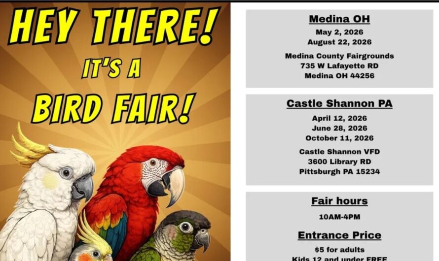 Pittsburgh Spring Bird Fair 2026 in Pittsburgh, PA: Dates, Location, Vendors, and What to Expect