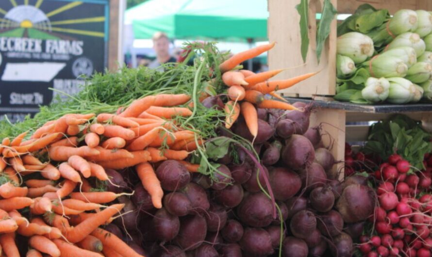 Storrs Farmers Market 2026 in Mansfield Center, CT: Dates, Location, Vendors, and What to Expect