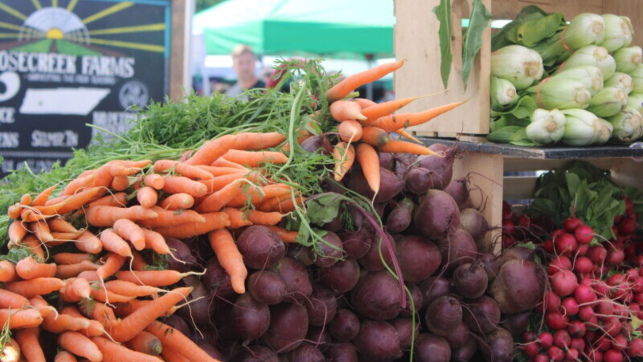 Storrs Farmers Market 2026 in Mansfield Center, CT Dates, Location, Vendors, and What to Expect