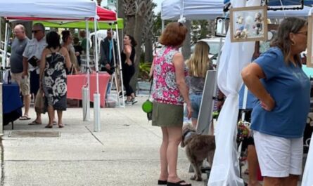 Vilano Beach Artisan Market 2026 in Saint Augustine, FL Dates, Location, Vendors, and What to Expect
