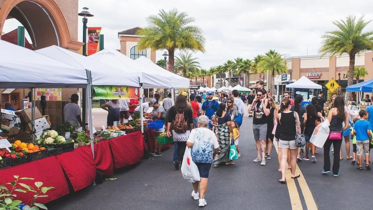 Wesley Chapel Third Saturday Fresh Market 2026 in Wesley Chapel, FL Dates, Location, Vendors, and What to Expect