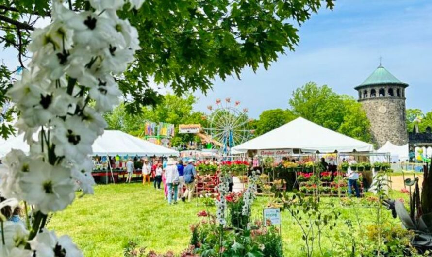 Wilmington Flower Market 2026 in Wilmington, DE: Dates, Location, Vendors, and What to Expect