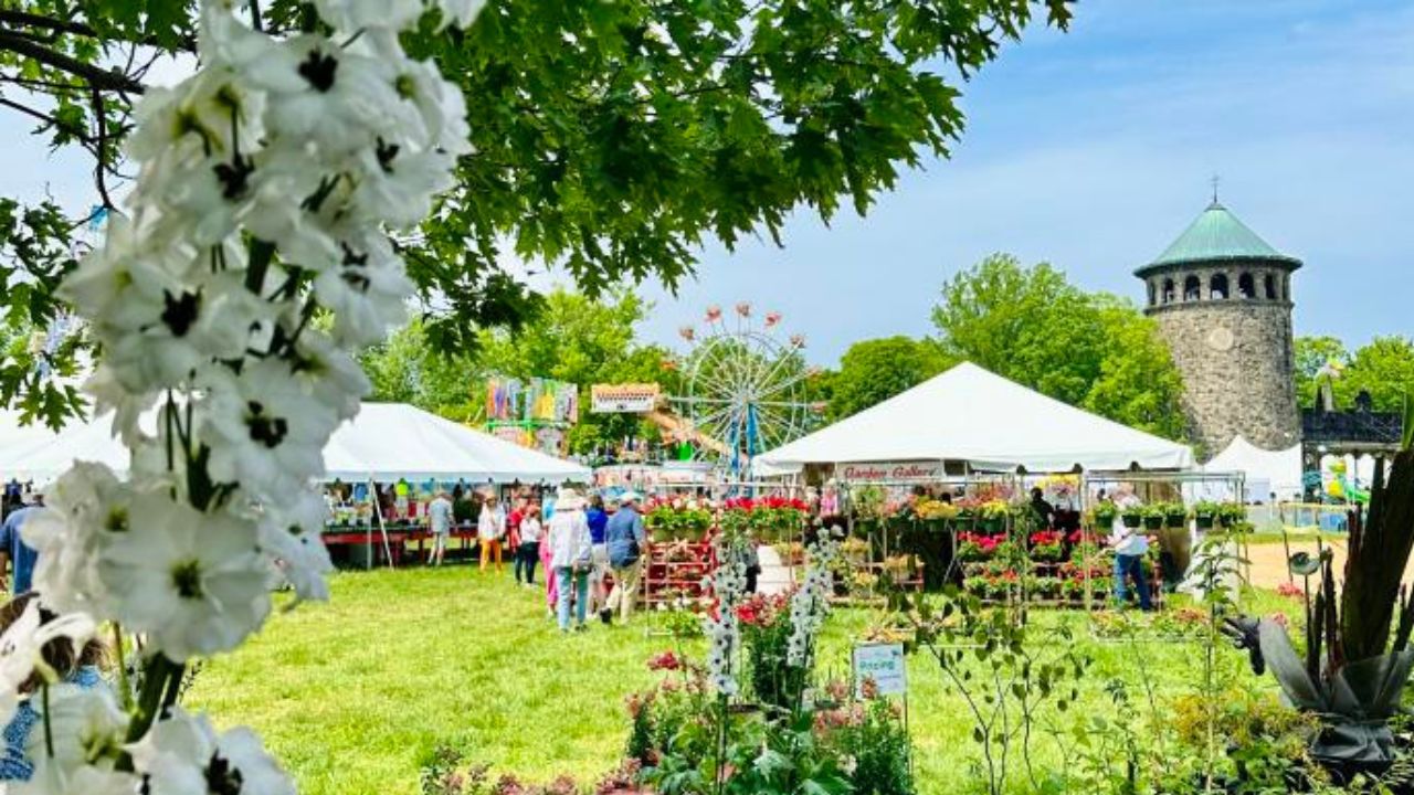 Wilmington Flower Market 2026 in Wilmington, DE Dates, Location, Vendors, and What to Expect