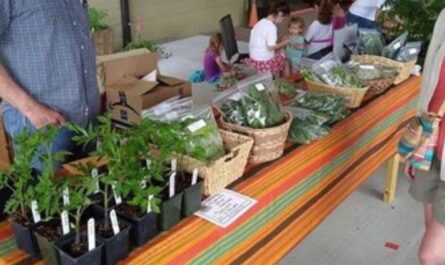 Wytheville Spring Farmers Market 2026 in Wytheville, VA Dates, Location, Vendors, and What to Expect