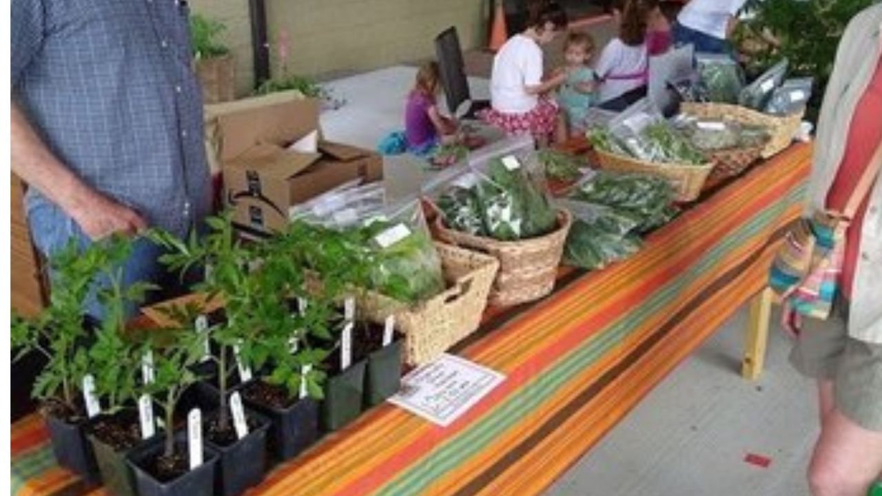 Wytheville Spring Farmers Market 2026 in Wytheville, VA Dates, Location, Vendors, and What to Expect