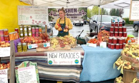 Anchorage Summer Night Market 2026 in Anchorage, AK Dates, Local Artists, Food Trucks, and What to Expect