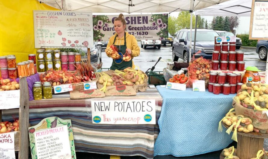 Anchorage Summer Night Market 2026 in Anchorage, AK: Dates, Local Artists, Food Trucks, and What to Expect