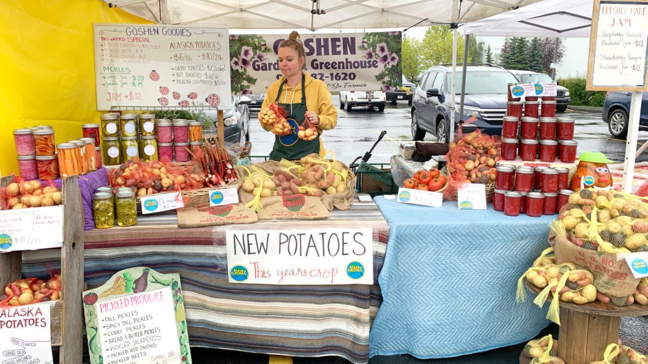Anchorage Summer Night Market 2026 in Anchorage, AK Dates, Local Artists, Food Trucks, and What to Expect