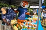Auburn Farmers Market 2026 in Auburn, AL Dates, Fresh Produce, Artisan Goods, and What to Expect