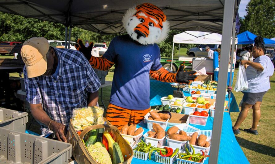 Auburn Farmers Market 2026 in Auburn, AL: Dates, Fresh Produce, Artisan Goods, and What to Expect