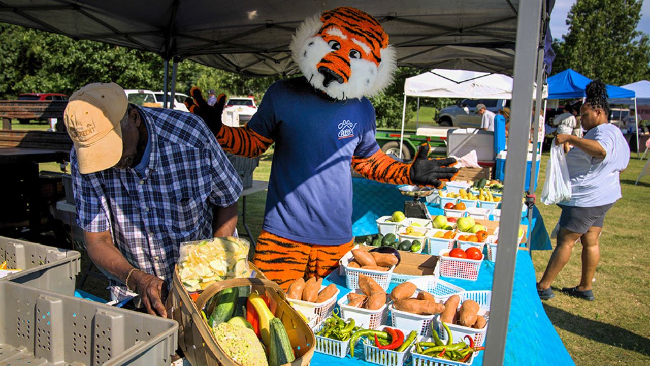 Auburn Farmers Market 2026 in Auburn, AL Dates, Fresh Produce, Artisan Goods, and What to Expect