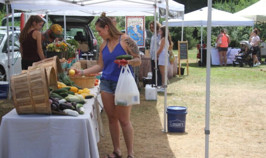 Dedham 5th Saturday Farmers Market 2026 in Dedham, MA: Dates, Fresh Produce, Artisan Foods, and What to Expect