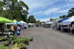 Rehoboth Arts Festival 2026 in Rehoboth Beach, DE: Dates, Location, Artists, and What to Expect
