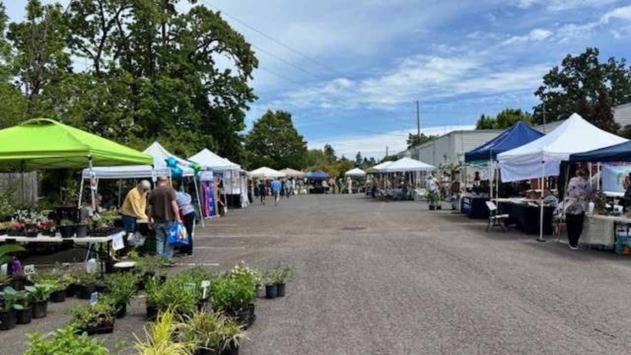 Rehoboth Arts Festival 2026 in Rehoboth Beach, DE: Dates, Location, Artists, and What to Expect