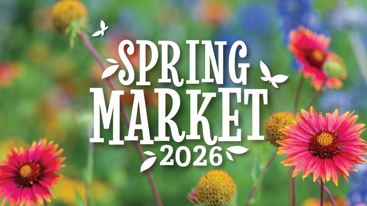 Plum Street Spring Saturday Morning Market 2026 in Canonsburg, PA: Dates, Location, Vendors, and What to Expect