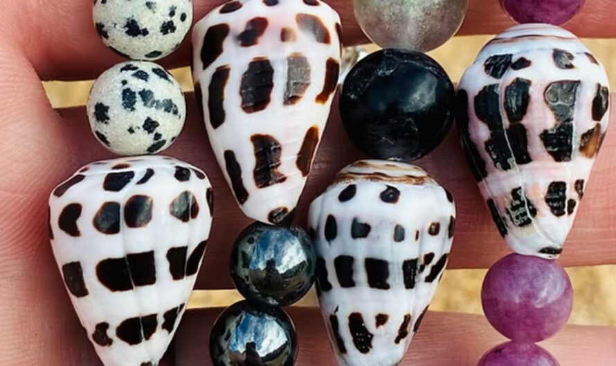 Princeville Artisans and Crafters Fair 2026 in Princeville, HI: Dates, Handmade Jewelry, Island Art, and What to Expect