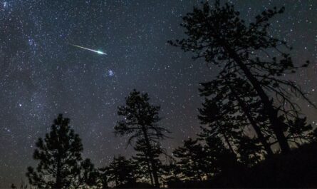 Venus and Eta Aquariids Align This Week—Here’s Why You Should Wake Up Early