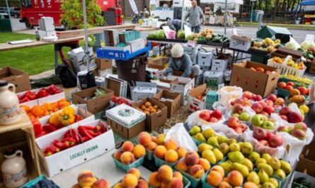 Watertown Spring Farm and Craft Market 2026 in Watertown, NY Dates, Vendors, Fresh Produce, and What to Expect