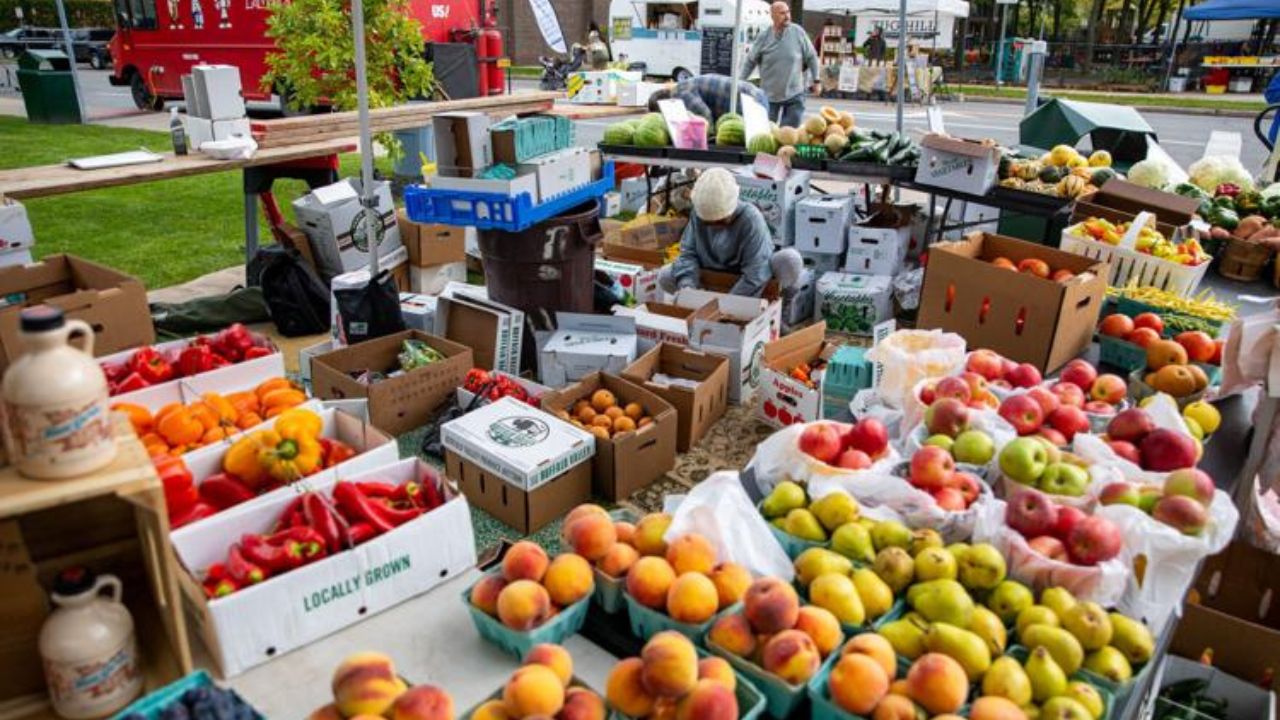 Watertown Spring Farm and Craft Market 2026 in Watertown, NY Dates, Vendors, Fresh Produce, and What to Expect