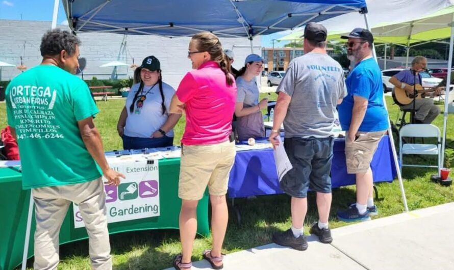 West River Spring Farmers Market 2026 in Londonderry, VT: Dates, Location, Vendors, and What to Expect