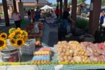 Westland Thursday Farmers and Artisan Market 2026 in Westland, MI Dates, Michigan Produce, Local Artisans, and What to Expect