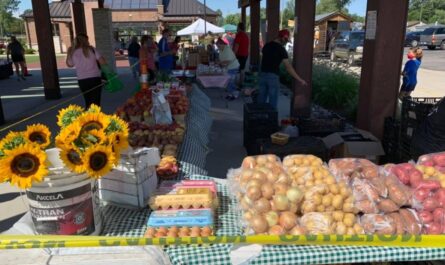 Westland Thursday Farmers and Artisan Market 2026 in Westland, MI Dates, Michigan Produce, Local Artisans, and What to Expect