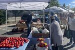 Williamstown Spring Outdoor Farmers Market 2026 in Williamstown, MA Dates, Fresh Produce, Artisan Vendors, and What to Expect