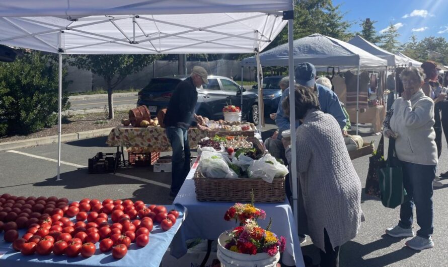 Williamstown Spring Outdoor Farmers Market 2026 in Williamstown, MA: Dates, Fresh Produce, Artisan Vendors, and What to Expect