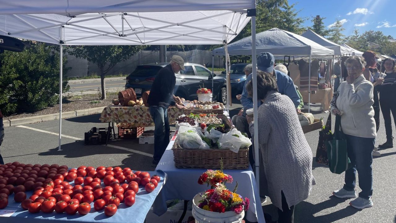 Williamstown Spring Outdoor Farmers Market 2026 in Williamstown, MA Dates, Fresh Produce, Artisan Vendors, and What to Expect