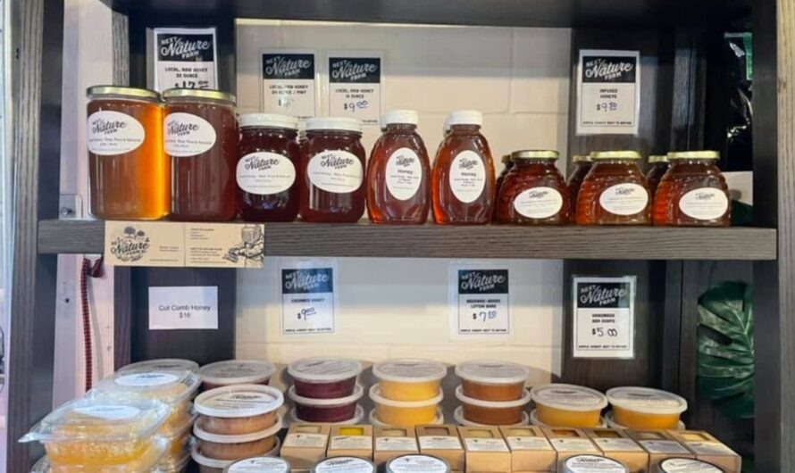 Basehor Summer Craft and Farmer Market 2026 in Basehor, KS: Dates, Farm-Fresh Produce, Handmade Goods, and What to Expect