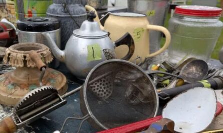 Dodge County Summer Flea Market and Craft Fair 2026 in Beaver Dam, WI Dates, Vintage Treasures, Handmade Crafts, and What to Expect