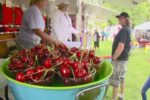 Emmett Cherry Festival 2026 in Emmett, ID Dates, Parade, Rodeo, Concerts, and What to Expect