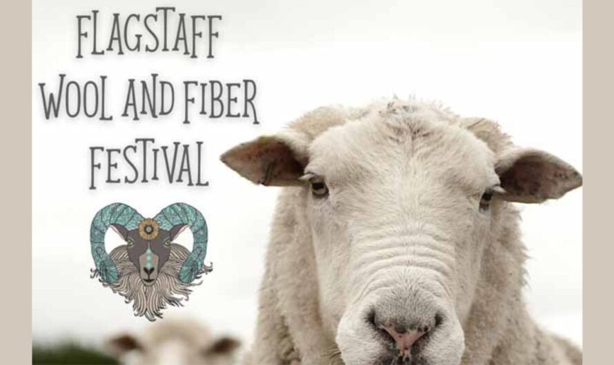 Flag Wool and Fiber Festival 2026 in Flagstaff, AZ: Dates, Fiber Arts, Animal Exhibits, and What to Expect