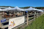 Lakeside Summer Farmers Market 2026 in Lakeside, MT Dates, Fresh Produce, Artisan Goods, and What to Expect