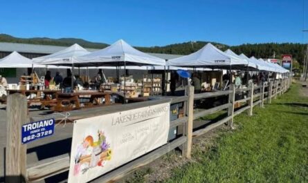 Lakeside Summer Farmers Market 2026 in Lakeside, MT Dates, Fresh Produce, Artisan Goods, and What to Expect
