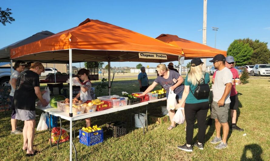 Newcastle Second Saturday Farmers and Artisans Market 2026 in Newcastle, OK: Dates, Local Produce, Handmade Goods, and What to Expect