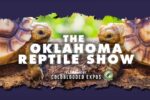 Oklahoma Reptile Show 2026 in Tulsa, OK Dates, Exotic Animals, Family Activities, and What to Expect