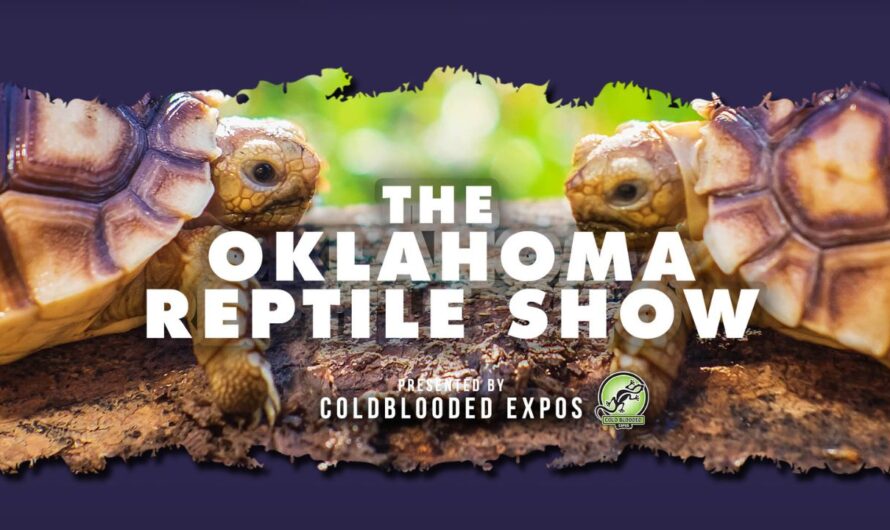 Oklahoma Reptile Show 2026 in Tulsa, OK: Dates, Exotic Animals, Family Activities, and What to Expect