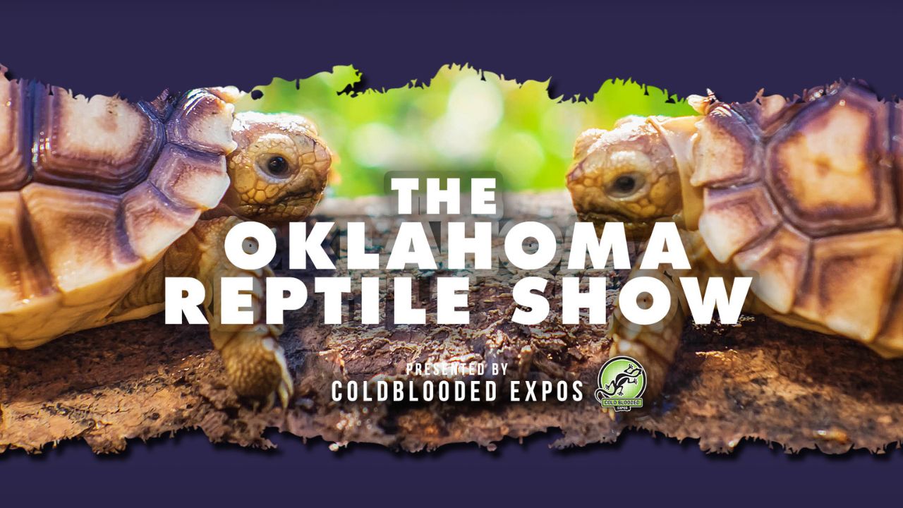 Oklahoma Reptile Show 2026 in Tulsa, OK Dates, Exotic Animals, Family Activities, and What to Expect