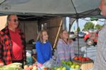 Pardeeville Outdoor Farmers Market 2026 in Pardeeville, WI Dates, Local Vendors, Fresh Produce, and What to Expect