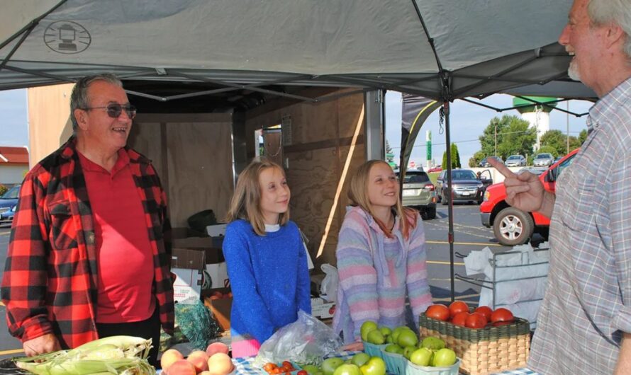 Pardeeville Outdoor Farmers Market 2026 in Pardeeville, WI: Dates, Local Vendors, Fresh Produce, and What to Expect